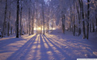 winter_is_coming wallpaper